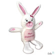 LeoliniKuscheltier HASE GÜCKSI in ROSA | Mein Glücksbringer | personalisierbar mit NameKuscheltiere